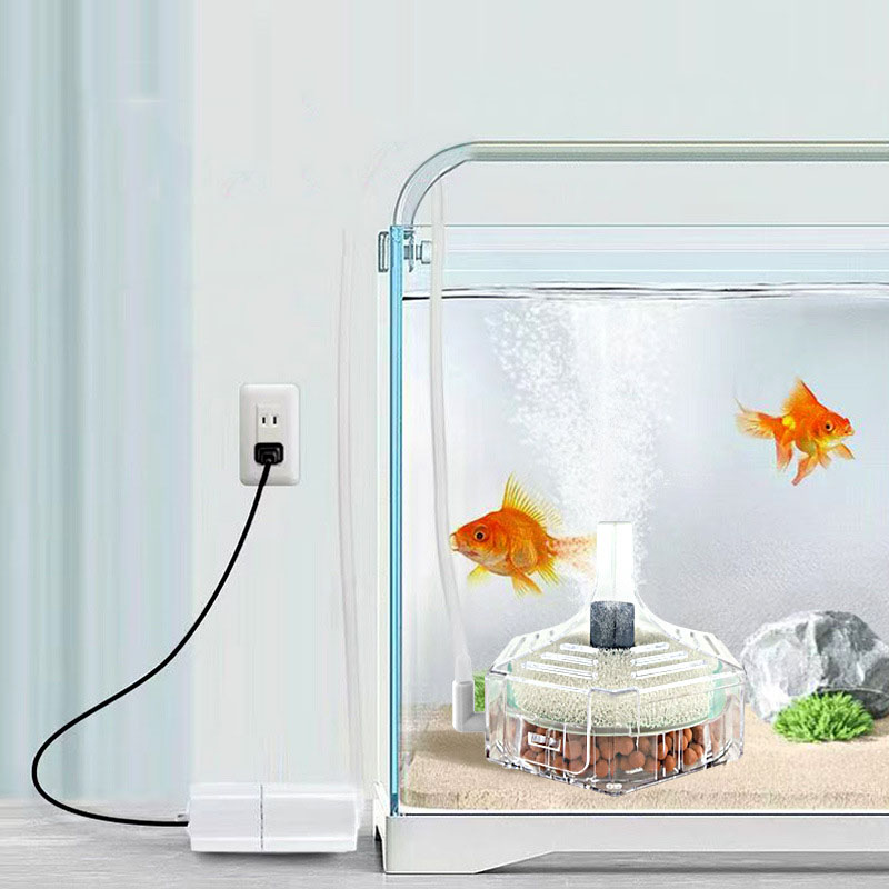 Süper İnce Akvaryum Balık Tank - Marine Aquarium Bacteria incelemesi ve fiyatı