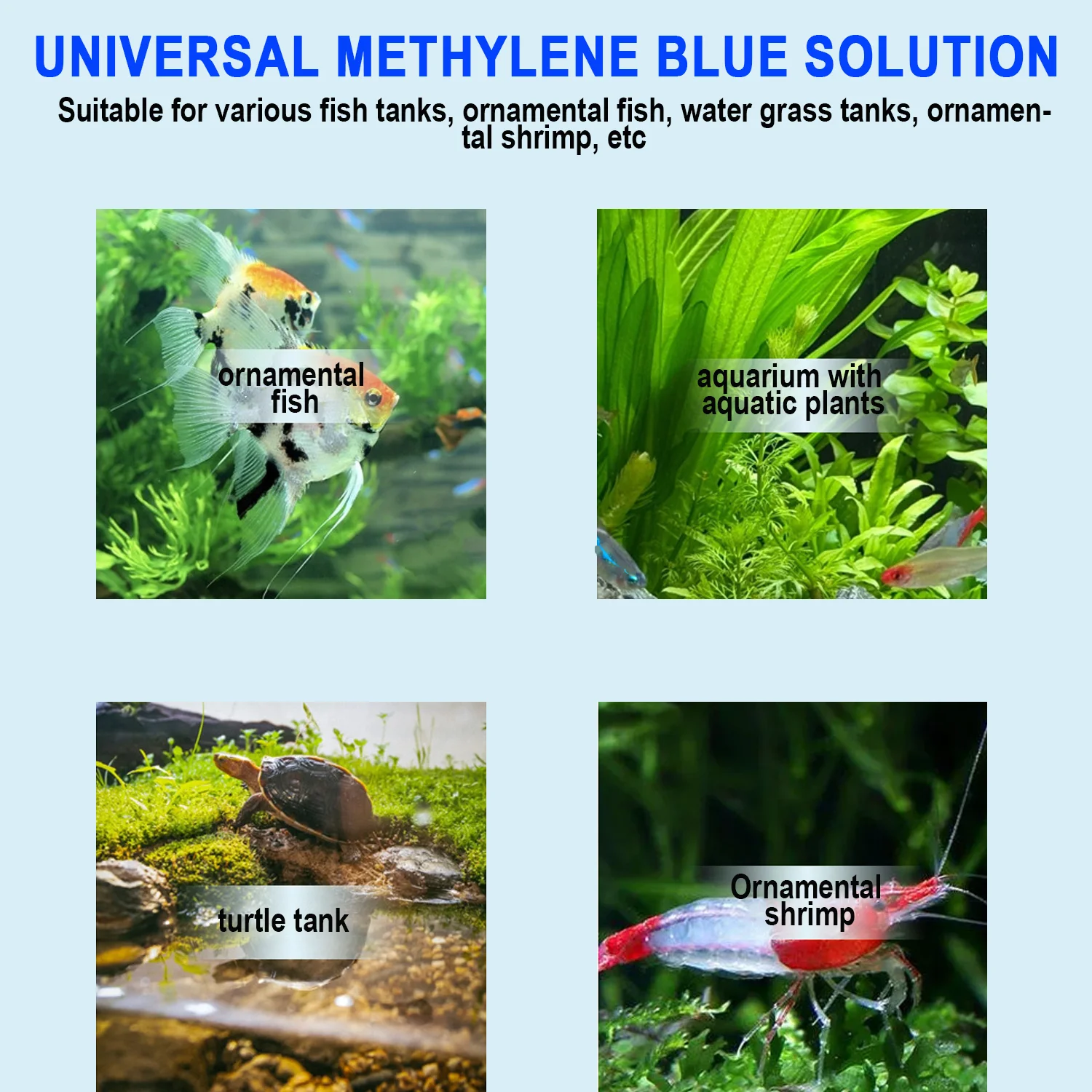 Metilen Mavi Akvaryum Balık Te - Marine Aquarium Bacteria incelemesi ve fiyatı