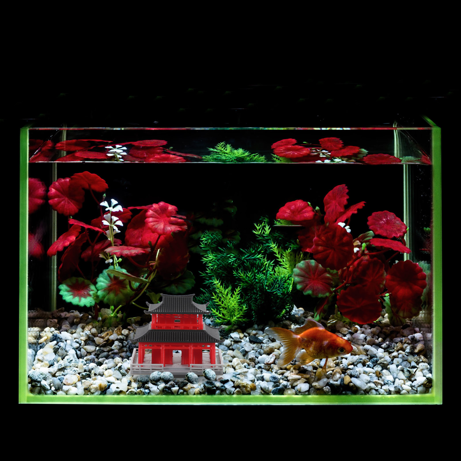 Çin Antik Pavilyonu, Siyah ve  - Aquarium & Marine Museum Universiti Malaysia Sabah Kota Kinabalu Sabah incelemesi ve fiyatı