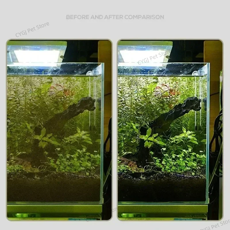 Balık Tankı Temizleme Aracı Dü - Marine Aquarium Bacteria incelemesi ve fiyatı