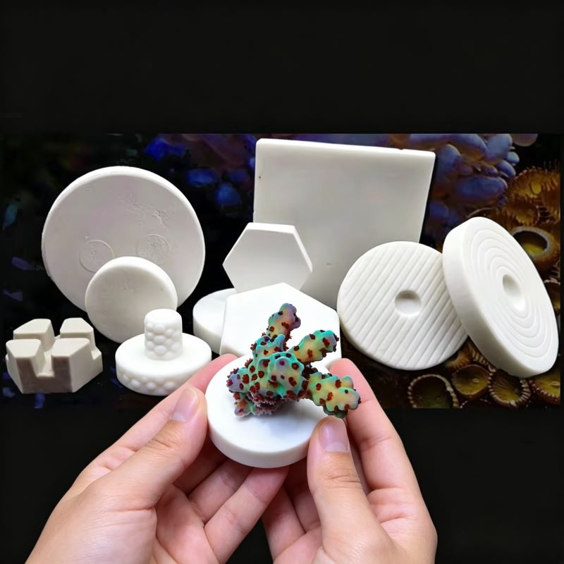 SPS Seramik Mercan Frag Plakal - Coral Frag Plug incelemesi ve fiyatı