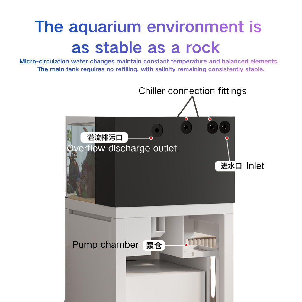 Akıllı Balık Tankı Paopaoshark - Marine Aquarium Cube incelemesi ve fiyatı