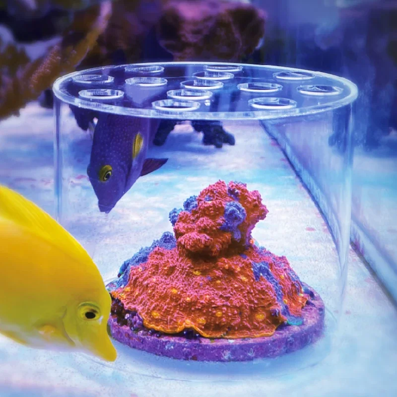 Vastocean Akvaryum Akrilik Mer - Coral Frag Plug incelemesi ve fiyatı