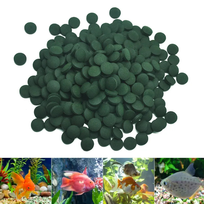 50-300 Adet Yüksek Saflıkta Sp - Marine Aquarium Bacteria incelemesi ve fiyatı