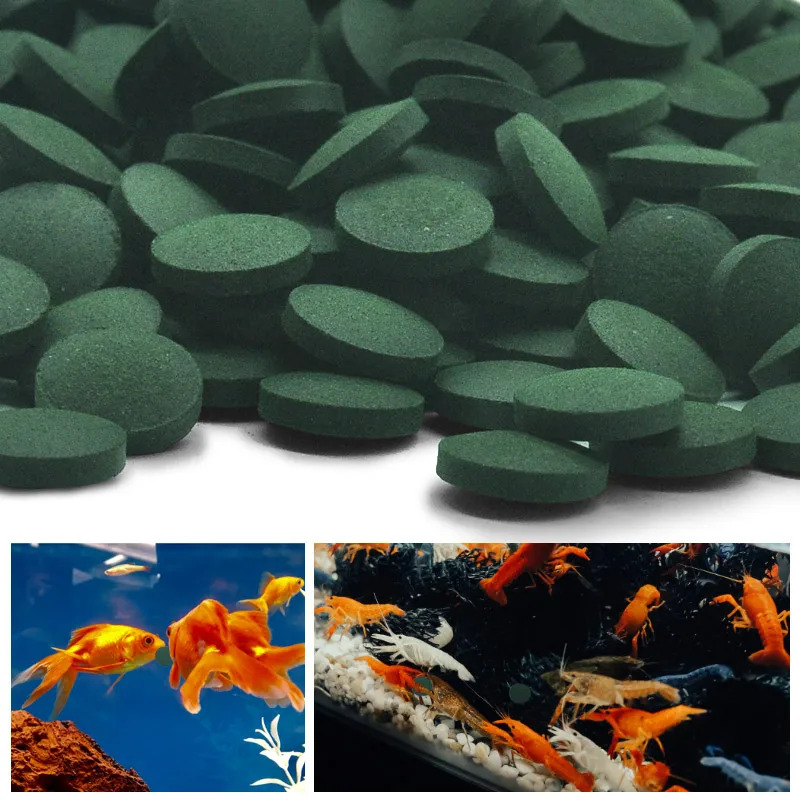 50-300 Adet Yüksek Saflıkta Sp - Marine Aquarium Bacteria incelemesi ve fiyatı